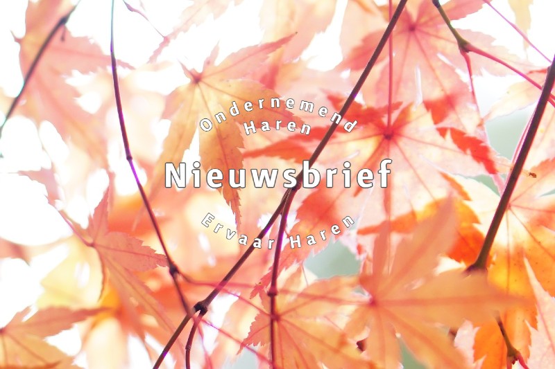 Nieuwsbrief Ondernemend Haren
