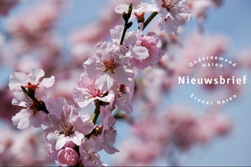 Nieuwsbrief Ondernemend Haren