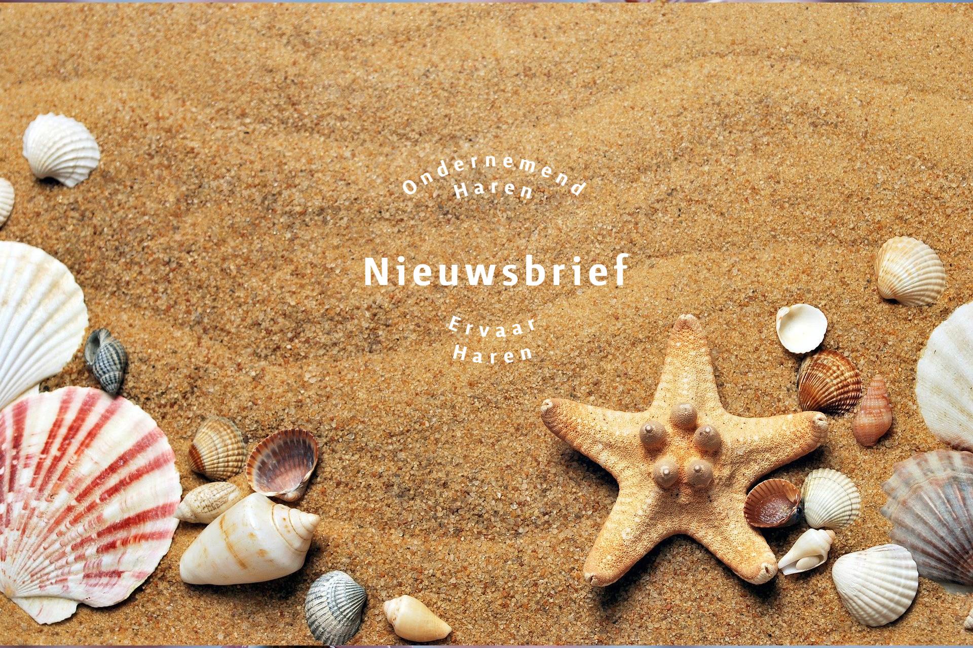 nieuwsbrief ondernemend haren juli