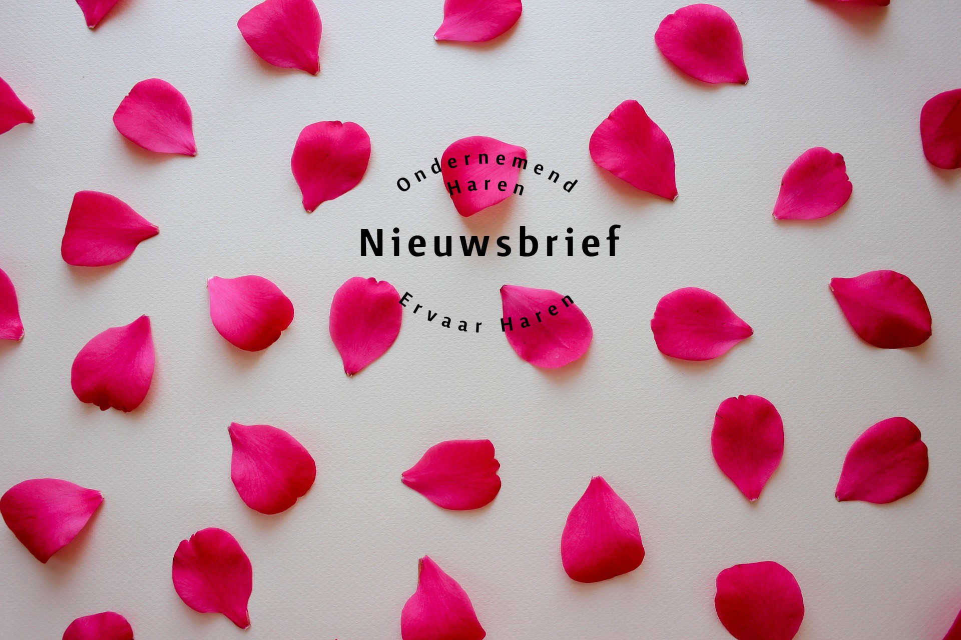 nieuwsbrief februari oh