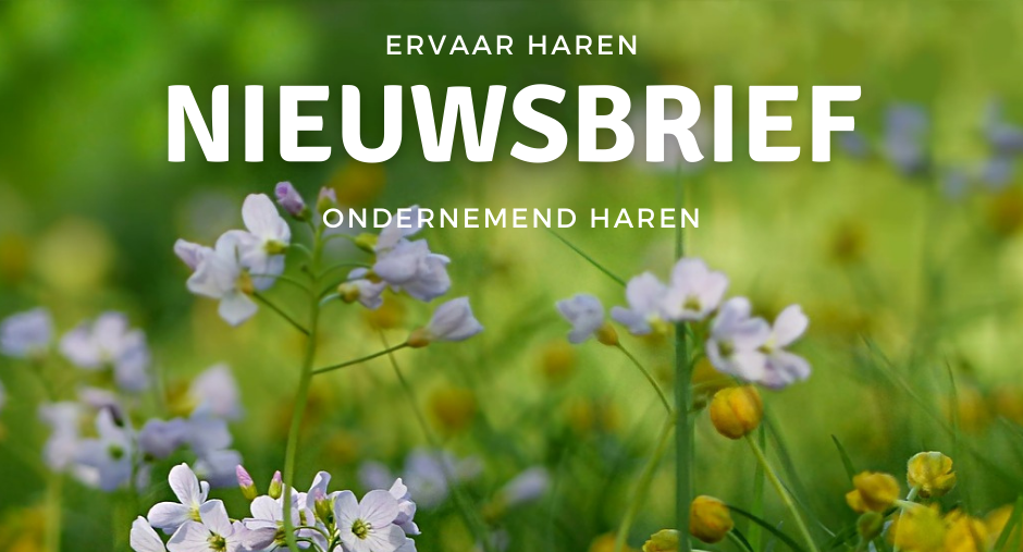 nieuwsbrief ondernemend haren