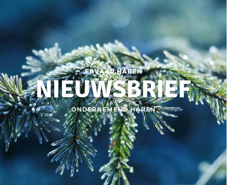 nieuwsbrief ondernemend haren