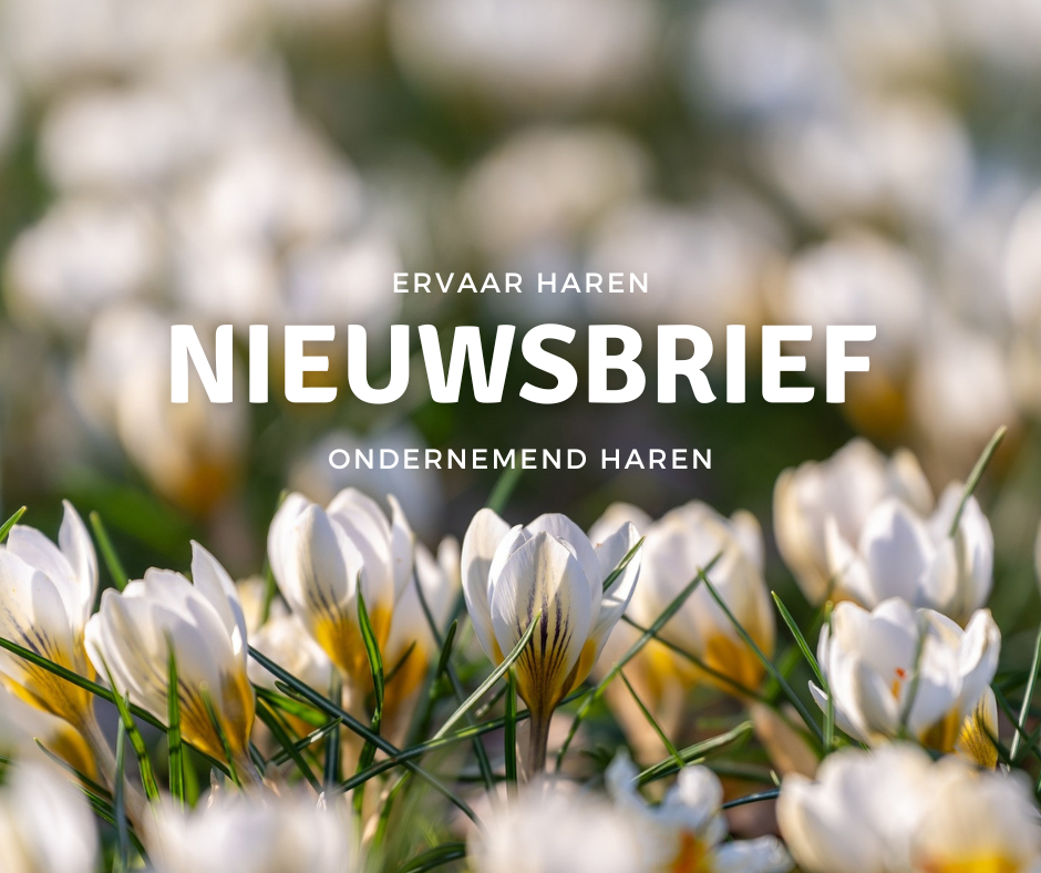 nieuwsbrief ondernemend haren